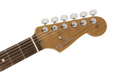 Fender Limited Edition American Professional II Stratocaster, Roasted Neck