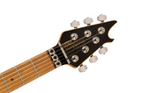 EVH Wolfgang WG Standard Exotic Zebrawood